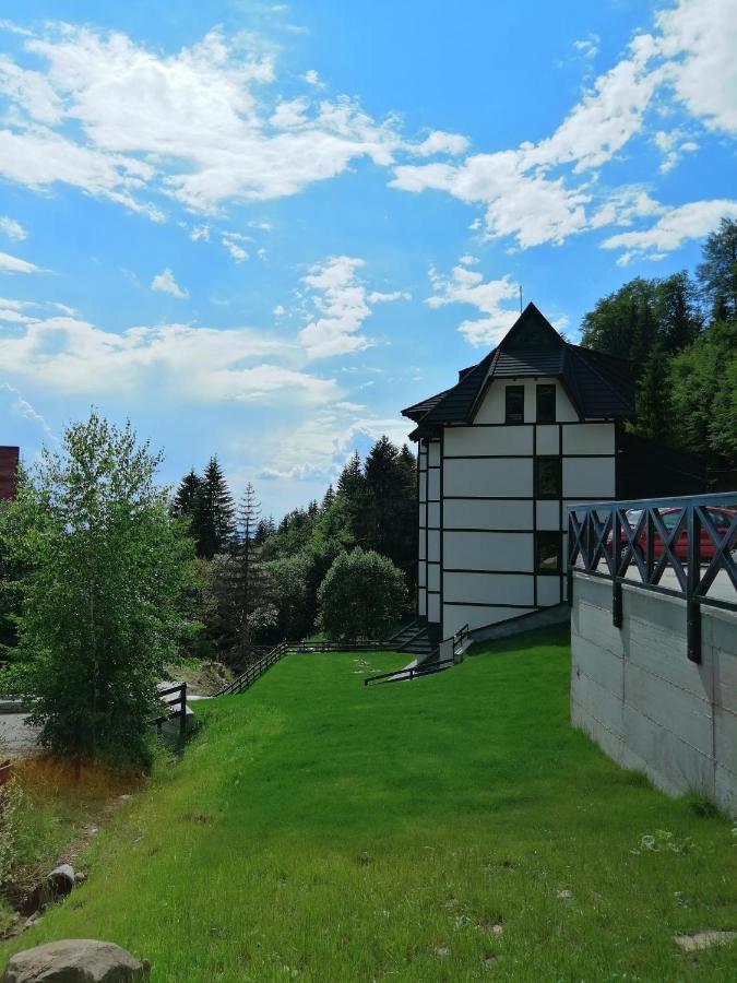 Vila Irina Kopaonik - Apartman Jovana Zewnętrze zdjęcie