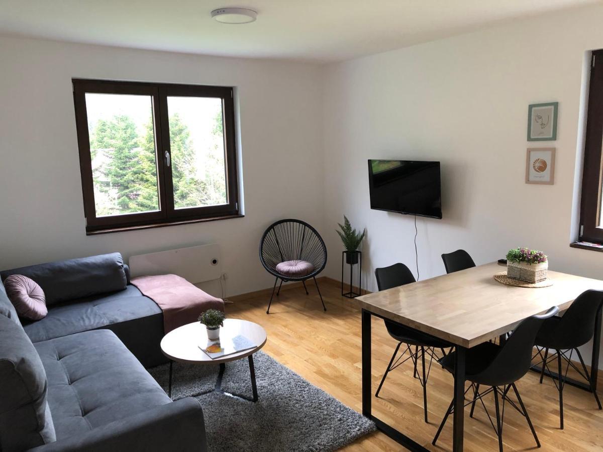 Vila Irina Kopaonik - Apartman Jovana Zewnętrze zdjęcie