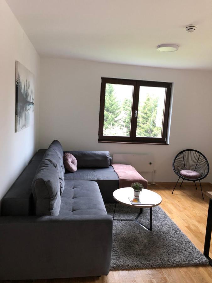 Vila Irina Kopaonik - Apartman Jovana Zewnętrze zdjęcie
