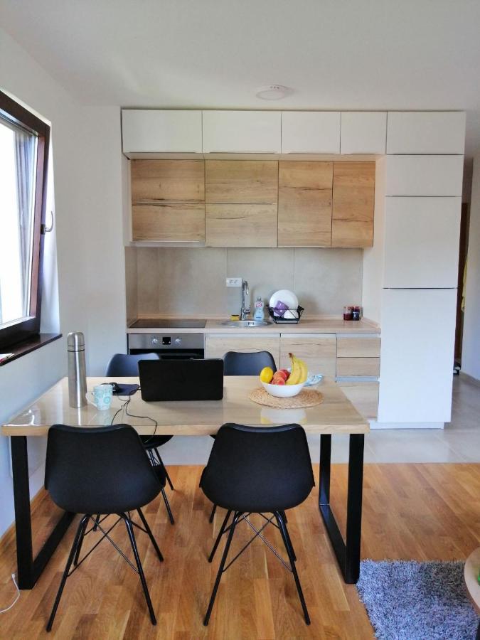 Vila Irina Kopaonik - Apartman Jovana Zewnętrze zdjęcie