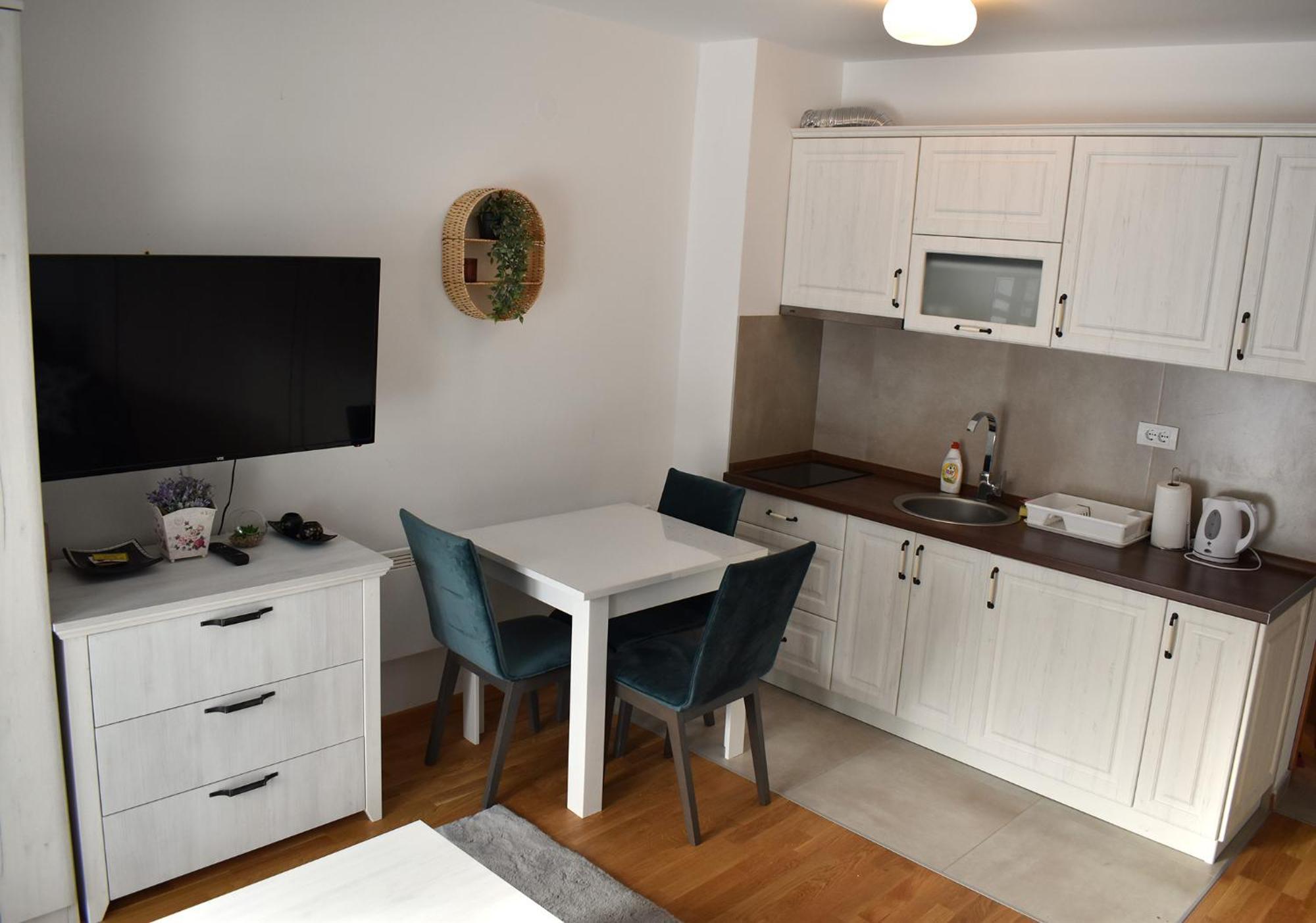 Vila Irina Kopaonik - Apartman Jovana Zewnętrze zdjęcie